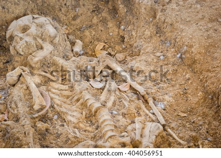 grave burial skeleton human bones, Archaeologically Sites, Photography, thailand, copyspace.