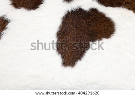 Cowhide, cow skin background.