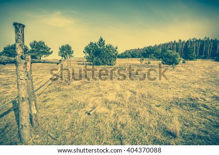 Early spring landscape of rural meadow - farm and pasture with dry grass, vintage photo