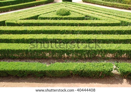 beautiful garden with triangular bushes well cuted