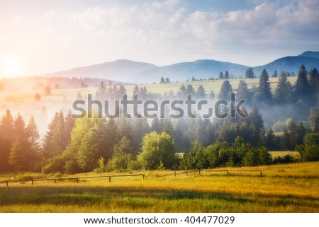 Fantastic green hills glowing by sunlight. Dramatic morning scene. Picturesque photo. Location place Carpathian, Ukraine, Europe. Artistic picture. Beauty world. 