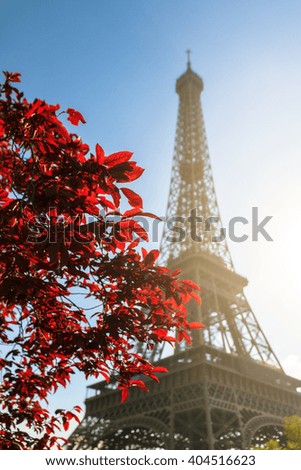 Beautiful view of red spring leafs with the Eiffel tower in the background in Paris