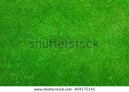 Green grass background texture. Royalty-Free Stock Photo #404575141