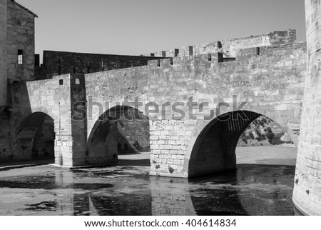 Aigues-Mortes (Gard, Languedoc-Roussillon, France): historic bridge. Black and white