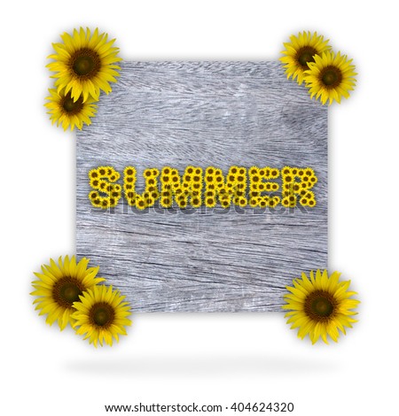 Sunflower on wooden isolate white background