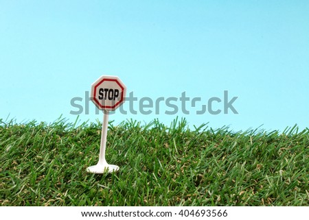 Warning Road Toy Signs on Green Grass