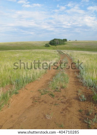 Dirt road in the steppe leading to a small forest against a blue sky