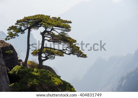Huangshan Mountain Range - Anhui Province - China. Scenic landscape with steep cliffs and trees during a sunny day Royalty-Free Stock Photo #404831749