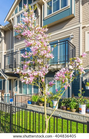Newly built condos with nicely trimmed and designed front yard in a residential neighborhood in Canada. Blossoms in from of the entrance, magnolia.