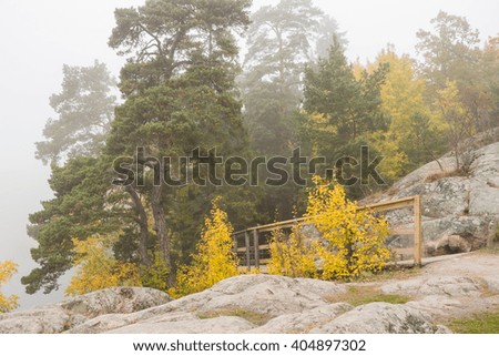 Wooden Footpath through misty forest near lake. Bridge with handrails on stones in autumn  wood covered by fog. Beautiful mystical foggy landscape with colorful leaves, stones and way. Silence, quiet