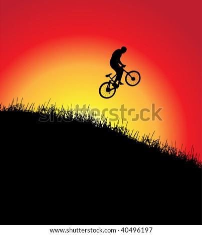 Bicycle frame, sunset, vector illustration