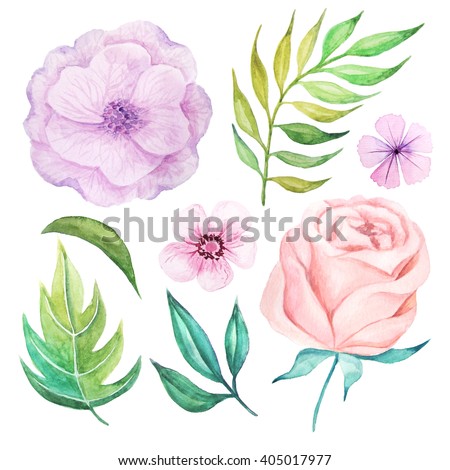 Set of hand painted watercolor flowers, leaves and branches. Isolated objects on a white background. Pastel floral clip art perfect for card making and DIY project