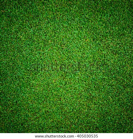 Background and texture of Beautiful green grass pattern from golf course