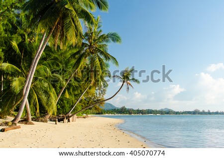 Beach with coconut