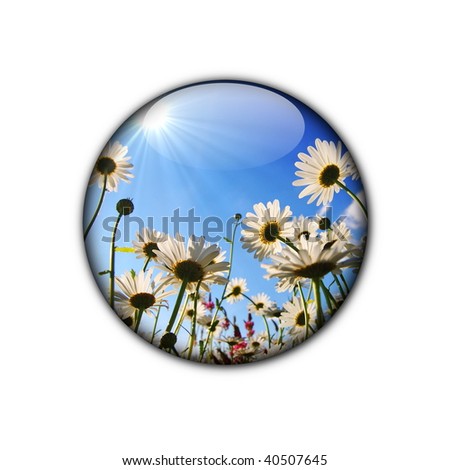 flower button for internet web site showing summer concept