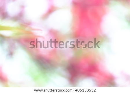 blurred background of Plum, Japanese apricot in 2016, Tokyo Japan