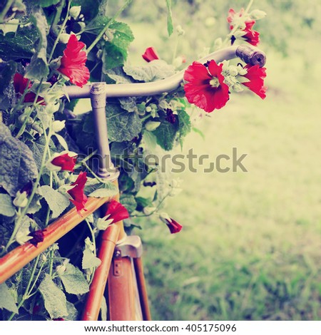 
Vintage Bicycle with flowers on landscape background (toned picture)
