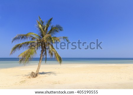Tropical Beach , Thungwualaen Beach at Chumphon , Thailand . coconut on the beach with blue sky and blue sea. Landmark of  Southern Thailand . Beautiful  sea and beach. 

