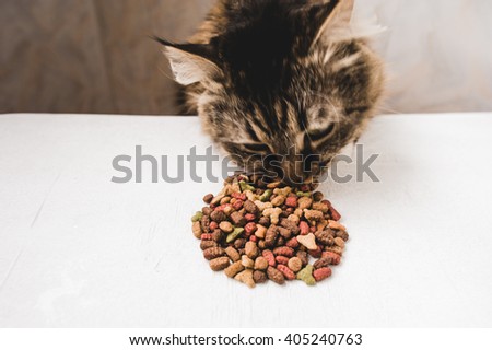 dry cat food, letters, cat's paw