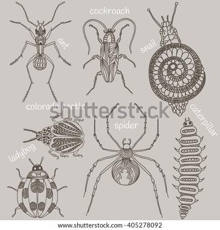 Hand drawn beetles set. Insects for design, icons, logo, print or else. Caterpillar, cockroach, snail, ladybug, spider, colorado beetle and ant. Vector illustration.