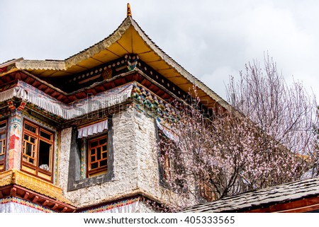 A window of the typical tibetan buddhist temple covered by peach blossom on the huxin island of Basongtso, Tibet.The text on the picture is the tibetan prayer scriptures, and no exact meaning.