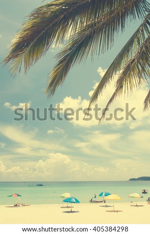beach coconut tree in vintage tone