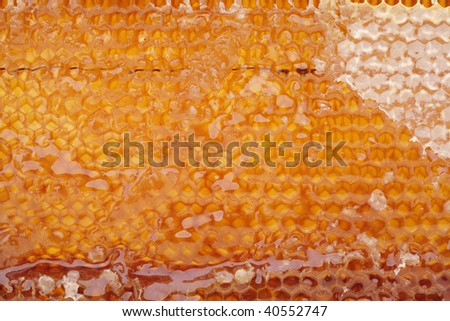 open honeycomb