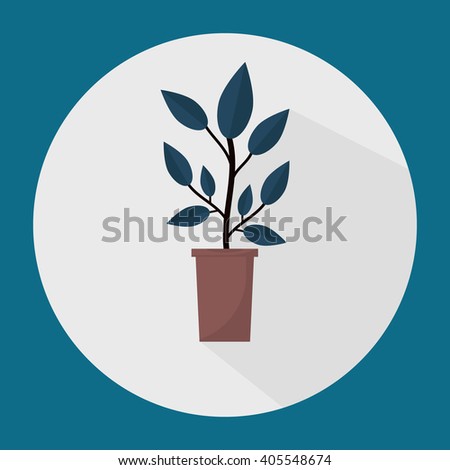 Green indoor leafy flat style house plant in pot vector icon. 