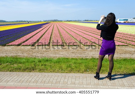 A tourist in taking a picture of the colored fields with hyacinth flowers near the city of Lisse in The Netherlands.