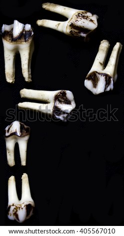 Teeth Bone Letter Alphabet P