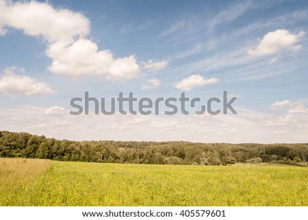 Green meadow under blue sky with clouds and forest in distance. Beautiful landscape image. Background picture for different purposes.