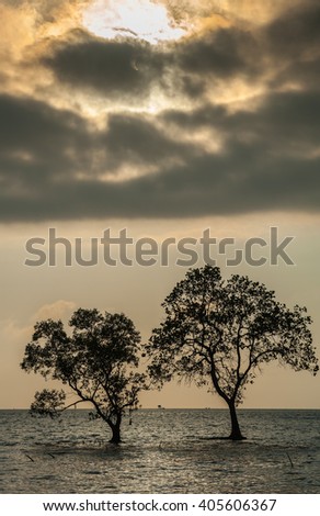 Natural solar eclipse at morning and sea