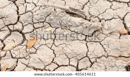 dry earth,no water