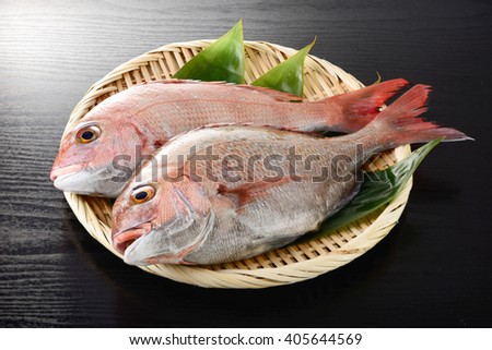 japanese red sea bream Royalty-Free Stock Photo #405644569