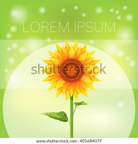 Sunflower bright banner