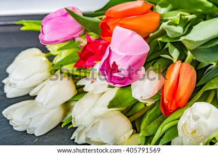 Anniversary white pink red tulip flower bouquet on grey background 
Top view at bunch fresh tulips, image concept for wedding blog, mothers day gift, valentines love card or backgound. Spring tulips