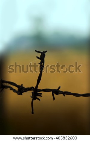 barbed wire fencing with blur background