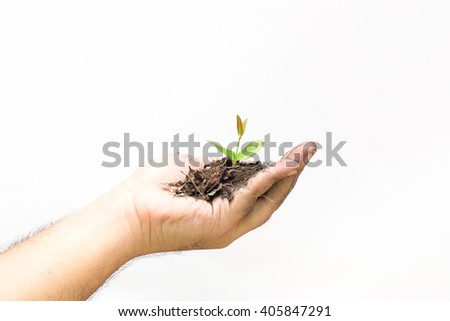 Man holding young plant in hands. Environmental protection concept.