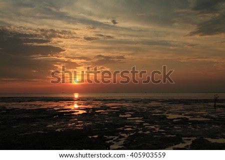 Low tide sunset