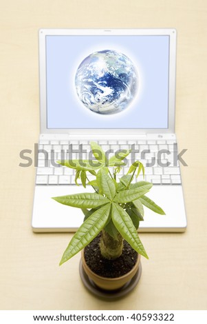 The earth which suits a screen of a PC and plant.