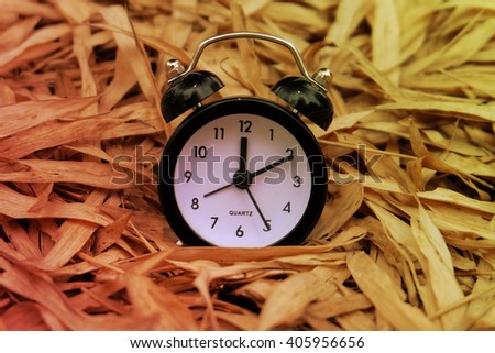 gradient clock in dry leave at garden