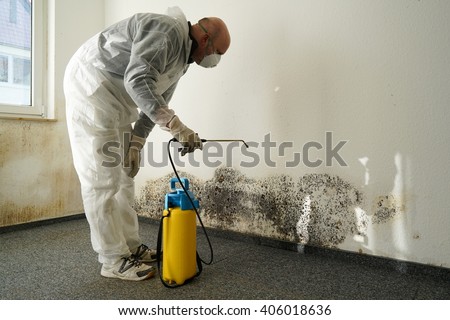 specialist in combating mold in an apartment Royalty-Free Stock Photo #406018636