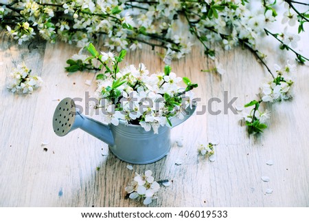 spring flowers in a watering can on a wooden background