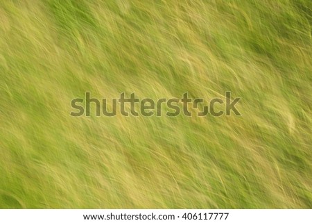 Natural abstract background with curved lines