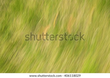 Natural abstract background with curved lines