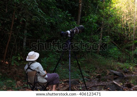 Bird Photography in Kaeng Krachan National Park on.