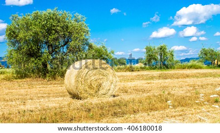 Panoramic view of a field with round bales of dried hay