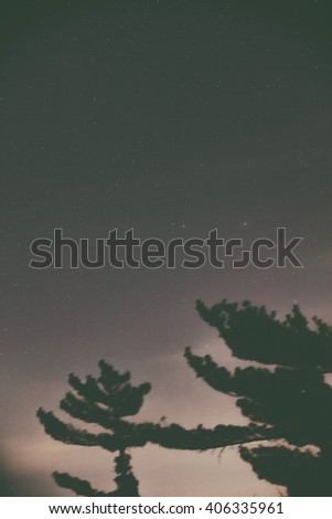 Blurred silhouettes of trees with milky way stars.  No elements of NASA or other third party.