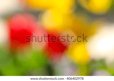 Picture of a colorful  garden bokeh. Spring theme