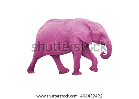 Pink Elephant Isolated on White Background